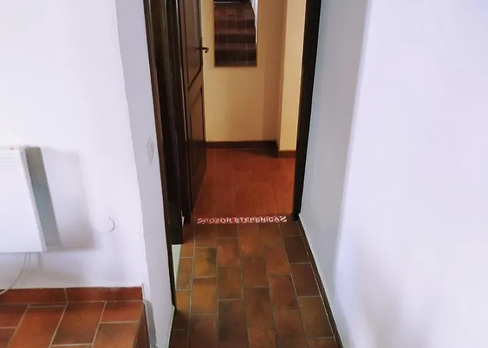 Apartman New!!!apartments Bonaparte *